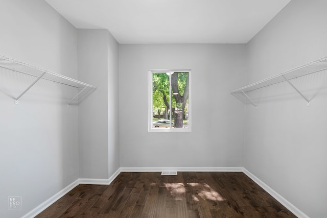 spacious closet featuring dark wood-type flooring