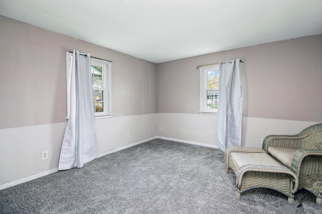 unfurnished room with carpet flooring