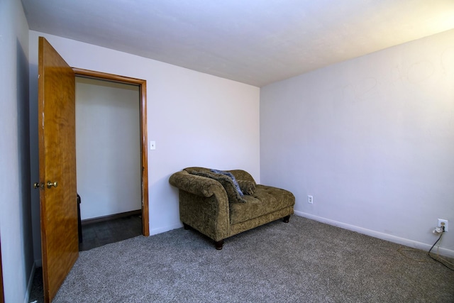 sitting room with carpet floors