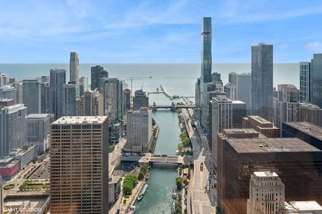 401 N Wabash Ave Unit 54G, Chicago, IL 60611 - photo 17