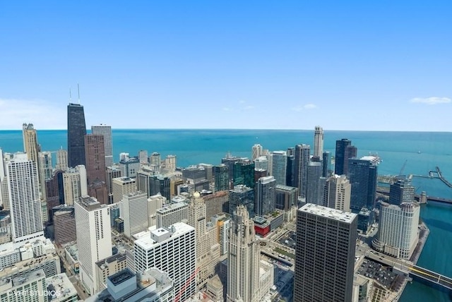 401 N Wabash Ave Unit 54G, Chicago, IL 60611 - photo 21