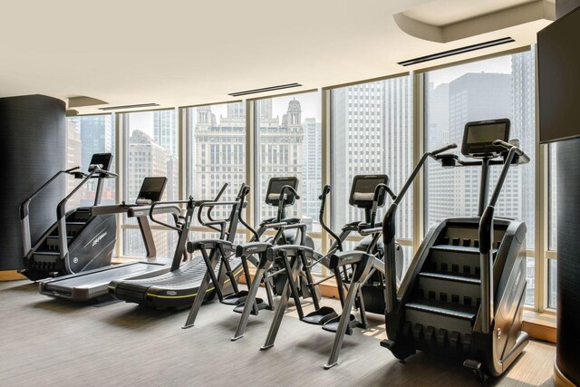 gym featuring carpet and a wall of windows