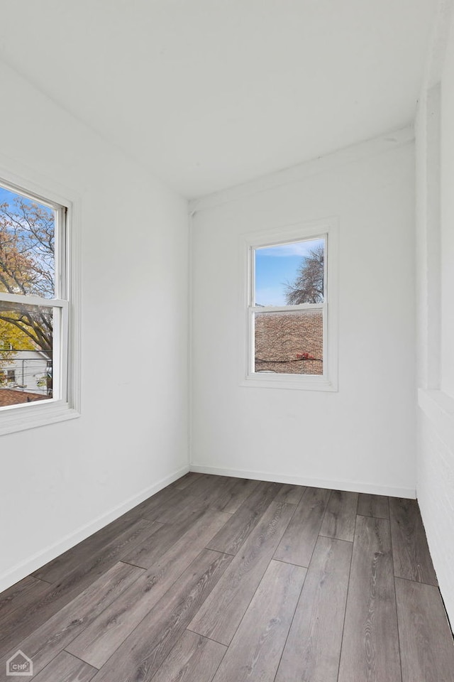 unfurnished room with wood-type flooring and a healthy amount of sunlight