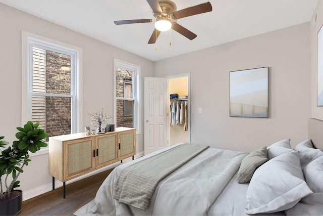 bedroom with multiple windows, a spacious closet, dark hardwood / wood-style flooring, and ceiling fan