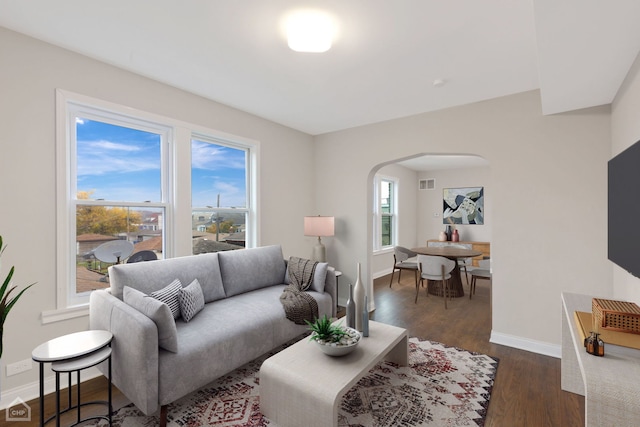 living room featuring dark hardwood / wood-style flooring