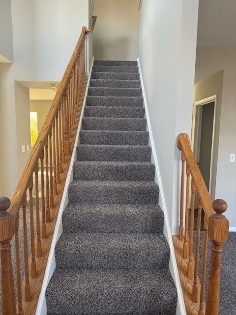 staircase with carpet flooring