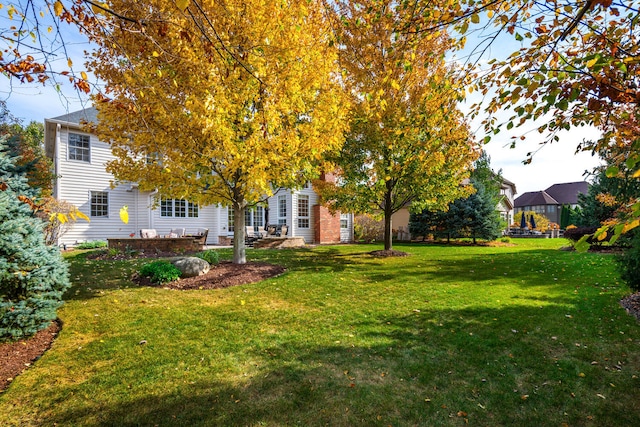 view of yard with a patio area