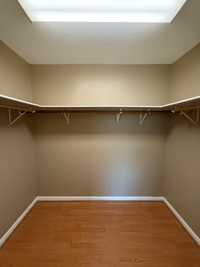 spacious closet featuring light hardwood / wood-style flooring