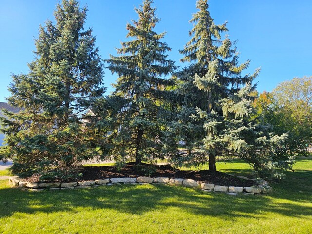 17828 S Mitchell Ln, Lockport, IL 60441 - view of green lawn