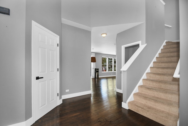 entrance foyer featuring dark hardwood / wood-style flooring