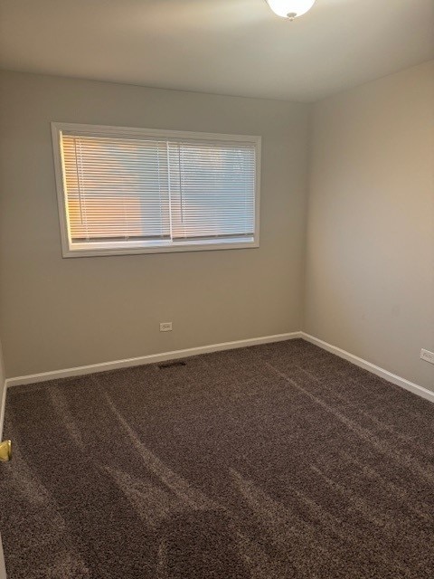 unfurnished room featuring carpet flooring