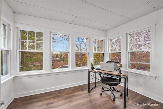 office featuring plenty of natural light and dark hardwood / wood-style floors