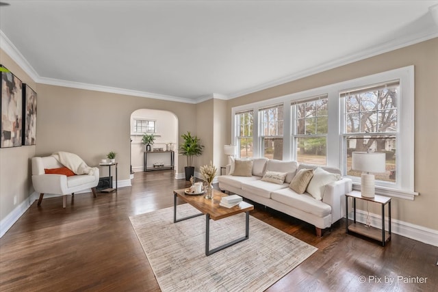 living room featuring crown molding and dark wood-type flooring