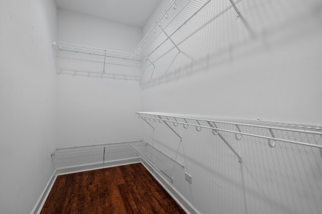 walk in closet with hardwood / wood-style floors