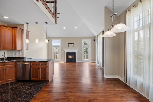 kitchen featuring decorative light fixtures, a healthy amount of sunlight, stainless steel dishwasher, and dark hardwood / wood-style flooring