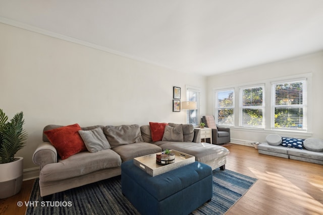 living room featuring crown molding and hardwood / wood-style flooring