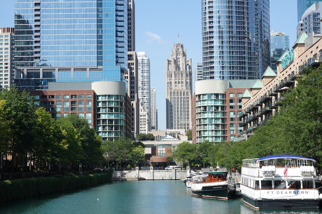 480 N Mcclurg Ct Unit 620, Chicago, IL 60611 - city view featuring a water view