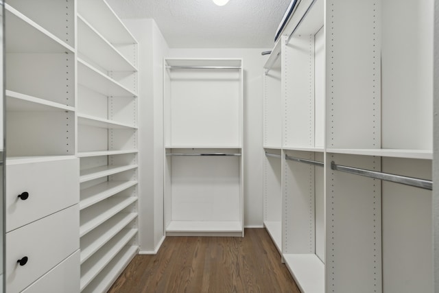 walk in closet featuring dark hardwood / wood-style flooring