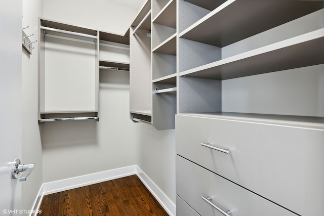 spacious closet featuring dark hardwood / wood-style floors