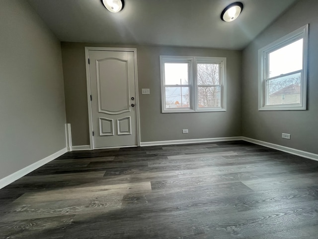 foyer with dark hardwood / wood-style floors, a healthy amount of sunlight, and lofted ceiling