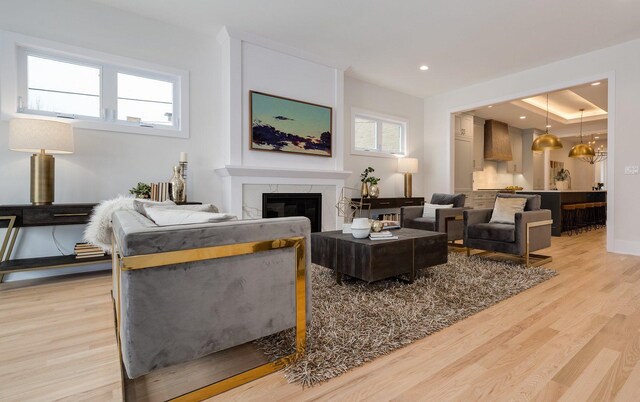 living room featuring a premium fireplace and light hardwood / wood-style flooring