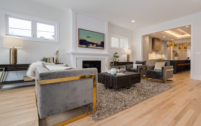 living room featuring light wood-style flooring, a healthy amount of sunlight, and a premium fireplace