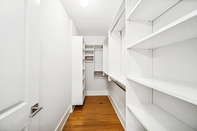 walk in closet with hardwood / wood-style flooring