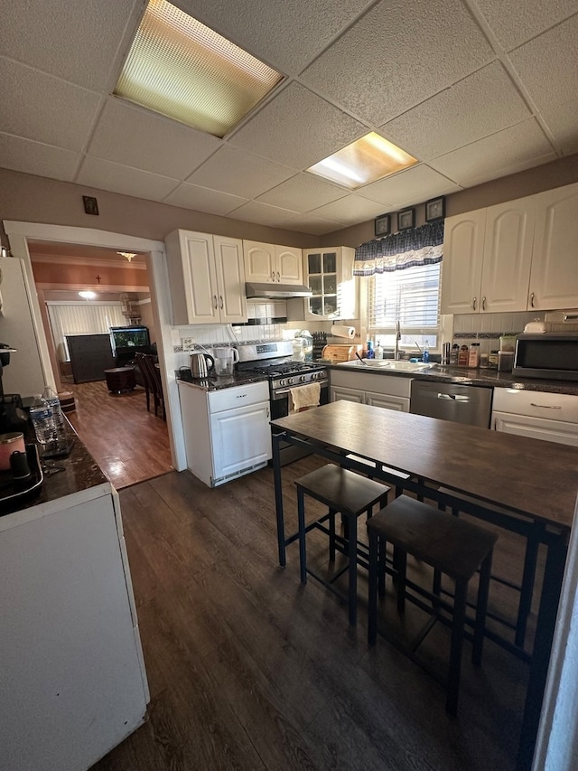 kitchen with a paneled ceiling, dark hardwood / wood-style floors, white cabinetry, and stainless steel appliances