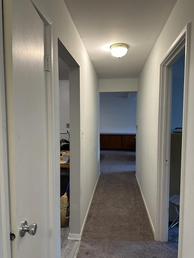4939 S Dorchester Ave Unit 3H, Chicago, IL 60615 - corridor featuring carpet and baseboards