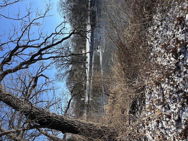 view of local wilderness