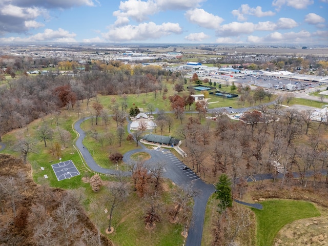 aerial view