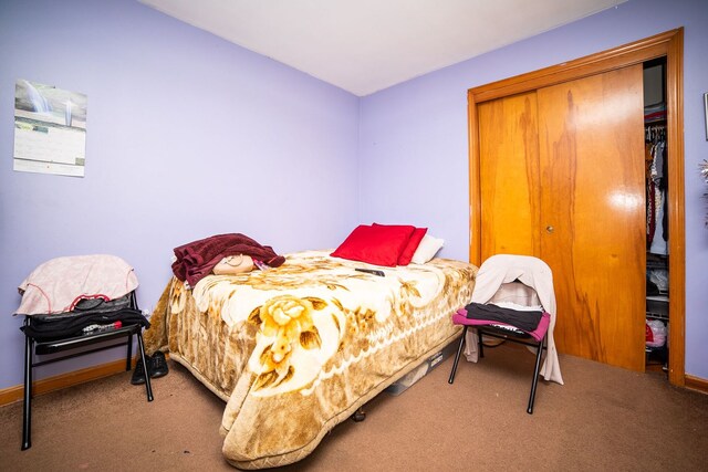 bedroom with a closet and carpet floors