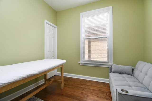 bedroom with dark hardwood / wood-style floors