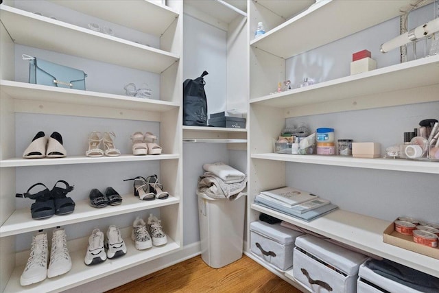 walk in closet with hardwood / wood-style floors