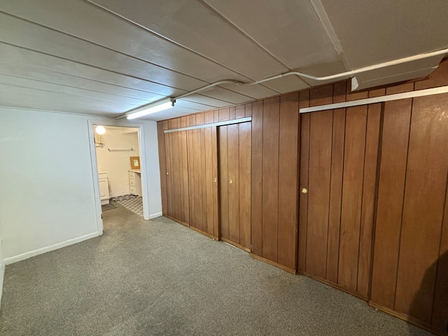 basement with wood walls