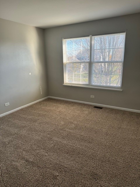 unfurnished room with carpet floors