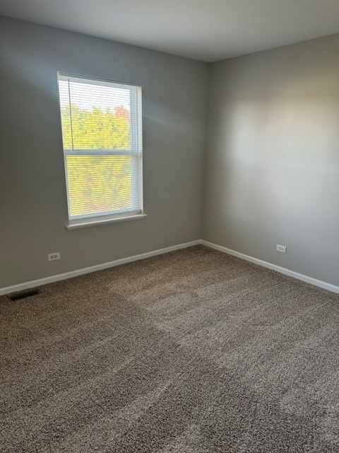 spare room featuring carpet floors