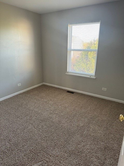 unfurnished room with carpet