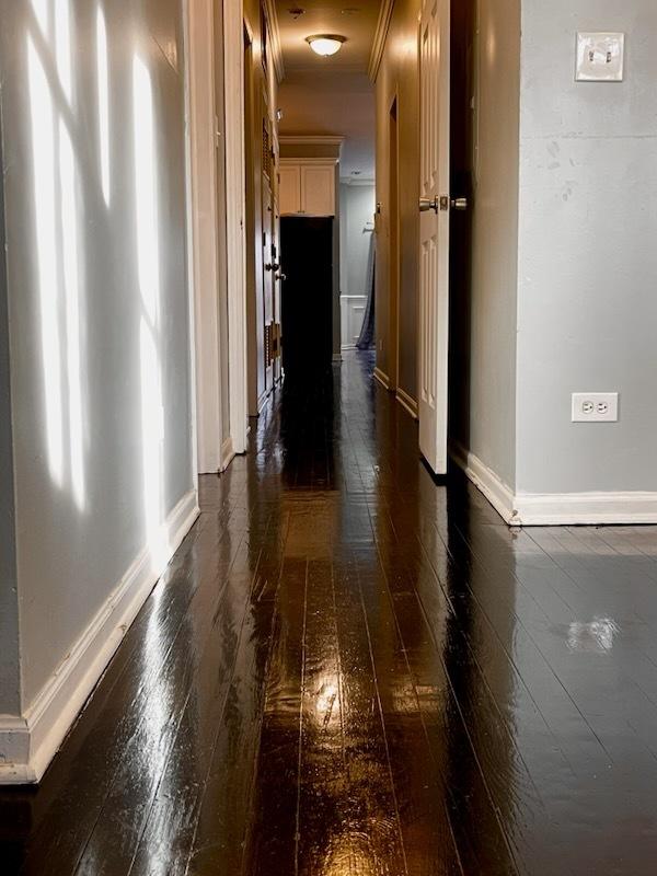 corridor featuring crown molding and dark hardwood / wood-style floors