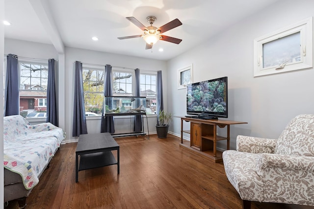 living room featuring ceiling fan, dark hardwood / wood-style flooring, and plenty of natural light