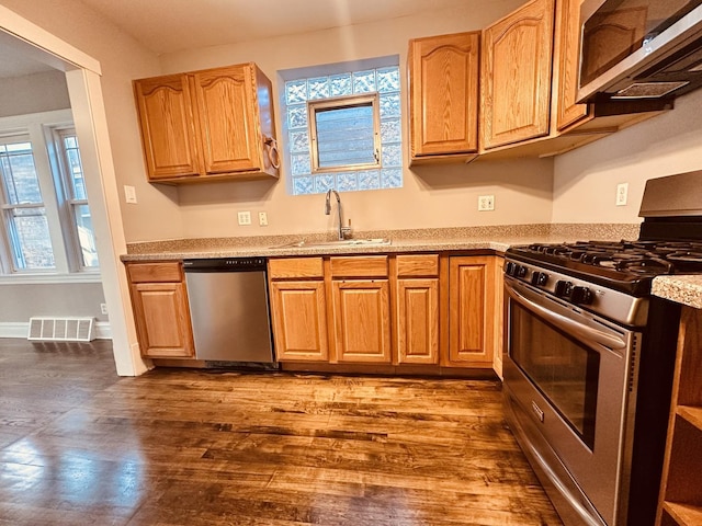 kitchen featuring dark hardwood / wood-style floors, sink, and stainless steel appliances