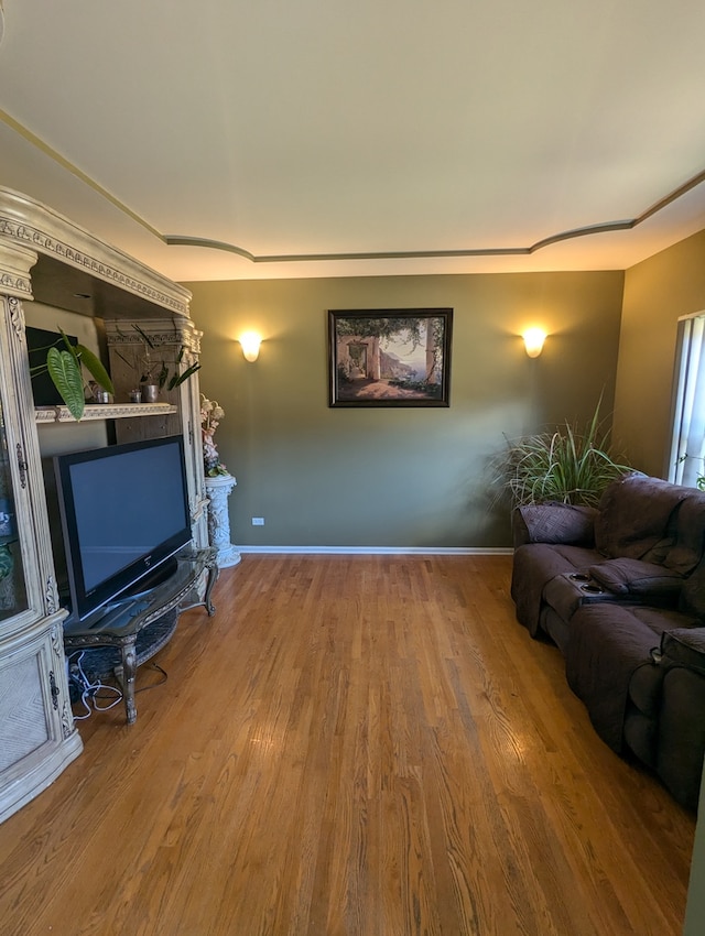 living room featuring hardwood / wood-style flooring