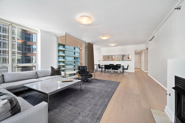 living room with light hardwood / wood-style flooring and ornamental molding