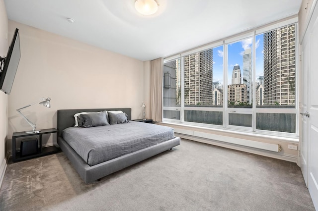 bedroom featuring carpet floors