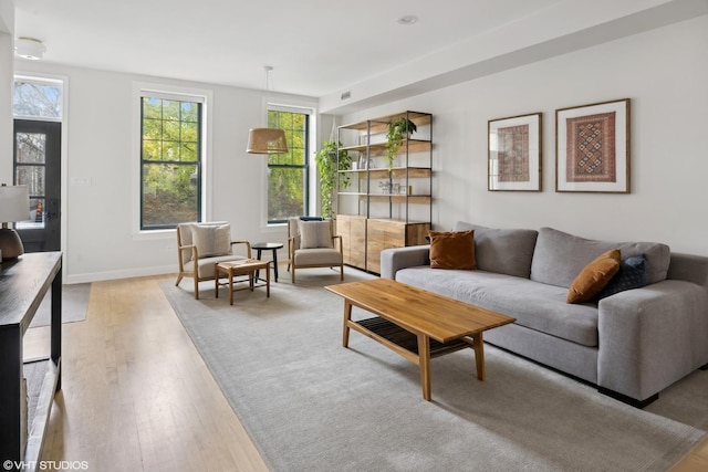 living room featuring light hardwood / wood-style flooring