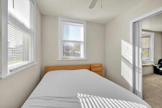 carpeted bedroom featuring ceiling fan and multiple windows