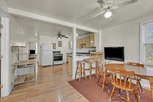 dining space with a wealth of natural light, light hardwood / wood-style flooring, and ceiling fan