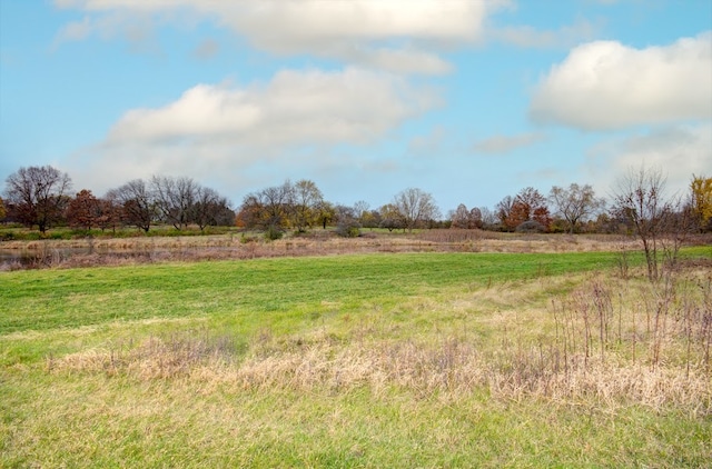 view of yard featuring a rural view