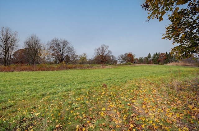 view of yard featuring a rural view