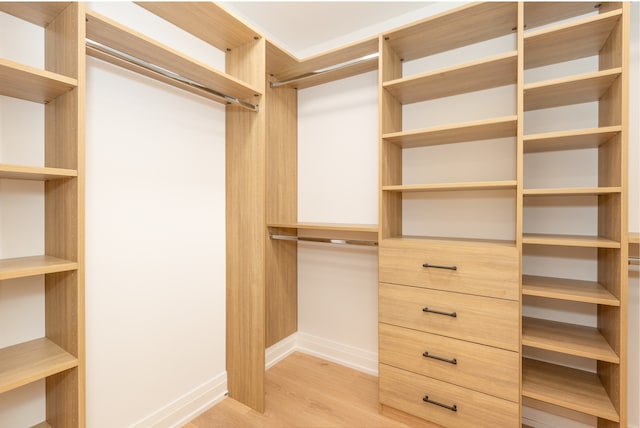 spacious closet featuring light hardwood / wood-style floors